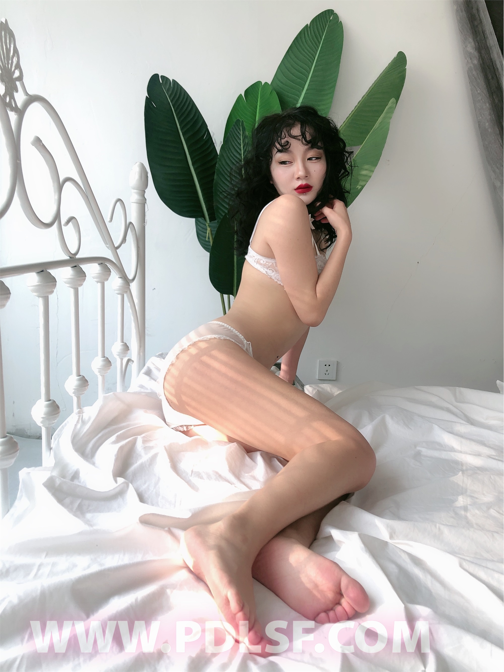 PDL潘多拉 2020.02.03 专辑No.276